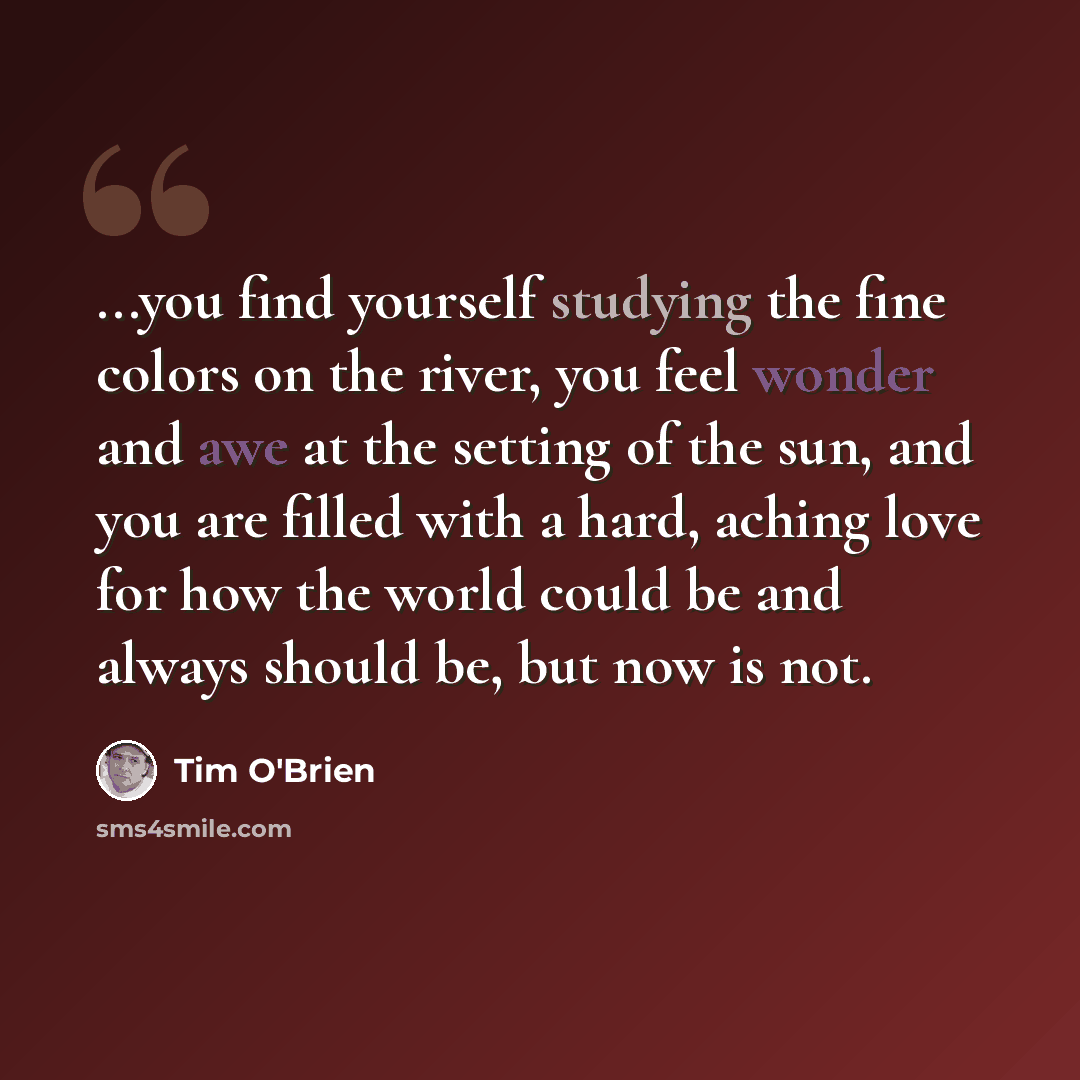 “...you find yourself studying the fine colors on the river, you feel wonder and awe at the setting of the sun, and you are filled with a hard, aching love for how the world could be and always should be, but now is not.” quote by Tim O'Brien