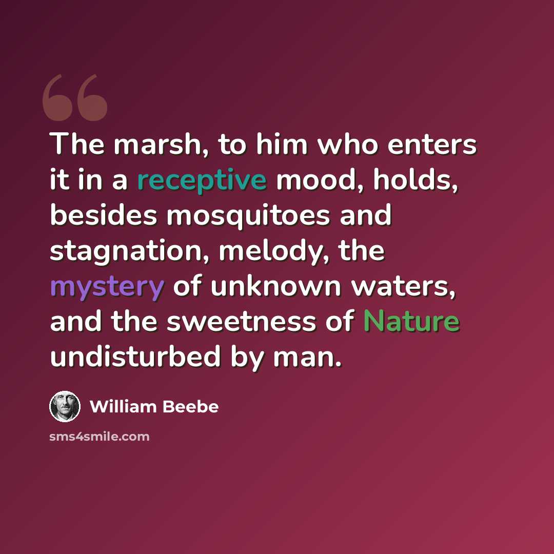 “The marsh, to him who enters it in a receptive mood, holds, besides mosquitoes and stagnation, melody, the mystery of unknown waters, and the sweetness of Nature undisturbed by man.” quote by William Beebe