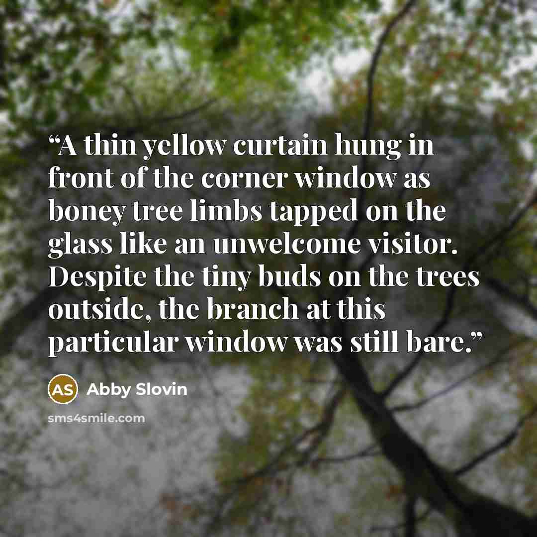 “A thin yellow curtain hung in front of the corner window as boney tree limbs tapped on the glass like an unwelcome visitor. Despite the tiny buds on the trees outside, the branch at this particular window was still bare.” quote by Abby Slovin