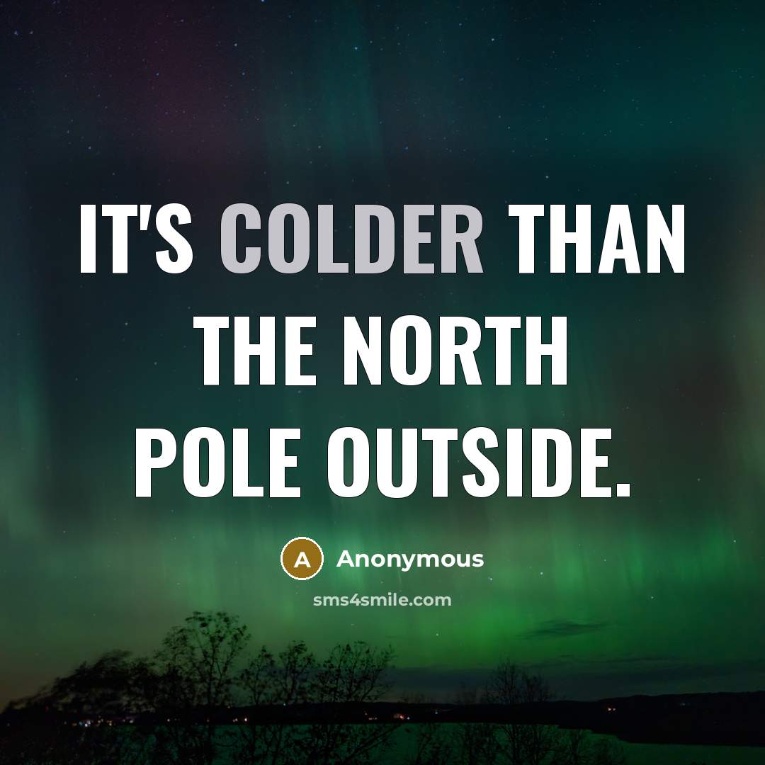 “It's colder than the North Pole outside.” quote by Anonymous