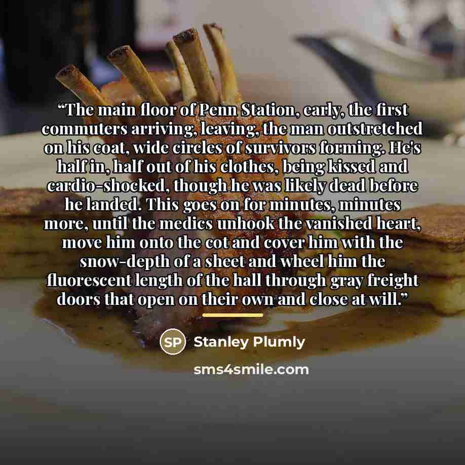 “The main floor of Penn Station, early, the first commuters arriving, leaving, the man outstretched on his coat, wide circles of survivors forming. He's half in, half out of his clothes, being kissed and cardio-shocked, though he was likely dead before he landed. This goes on for minutes, minutes…” quote by Stanley Plumly