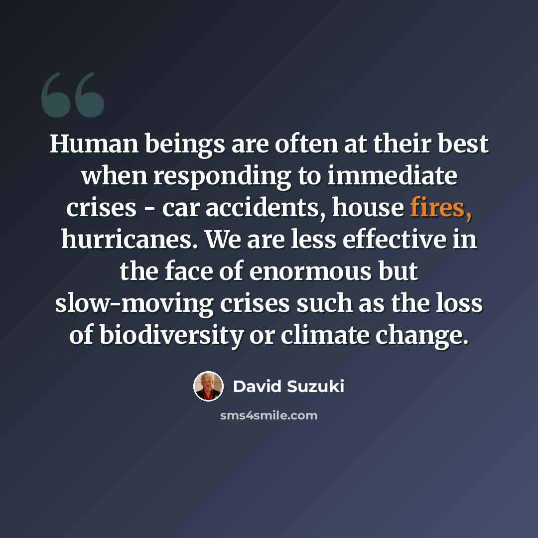 “Human beings are often at their best when responding to immediate crises - car accidents, house fires, hurricanes. We are less effective in the face of enormous but slow-moving crises such as the loss of biodiversity or climate change.” quote by David Suzuki