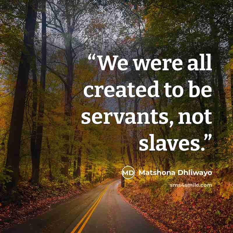 “We were all created to be servants, not slaves.” quote by Matshona Dhliwayo
