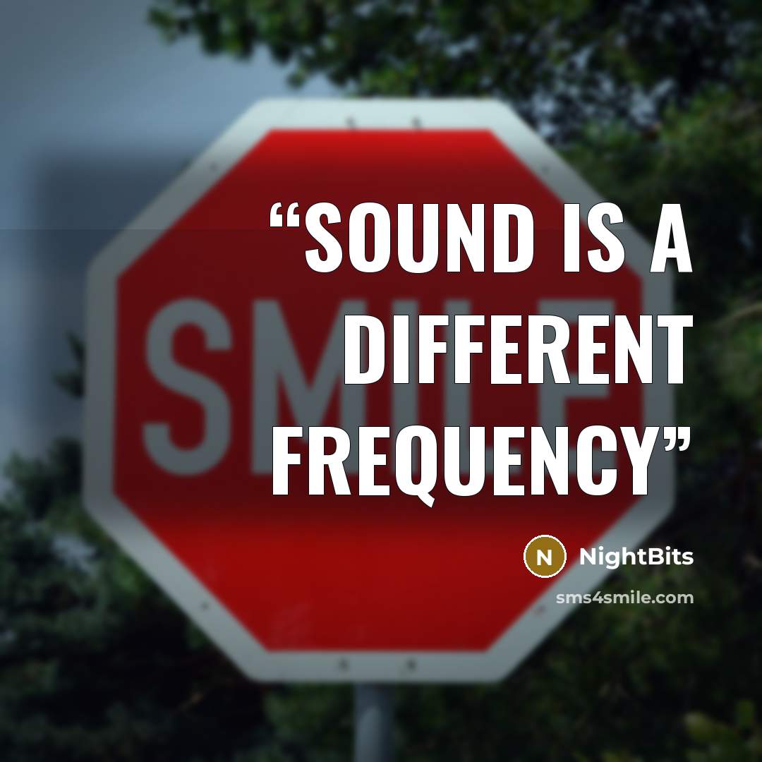 “Sound is a different frequency” quote by NightBits