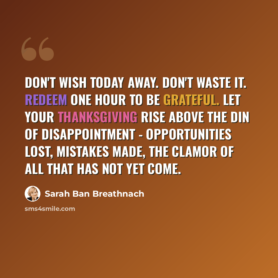 “Don't wish today away. Don't waste it. Redeem one hour to be grateful. Let your thanksgiving rise above the din of disappointment - opportunities lost, mistakes made, the clamor of all that has not yet come.” quote by Sarah Ban Breathnach