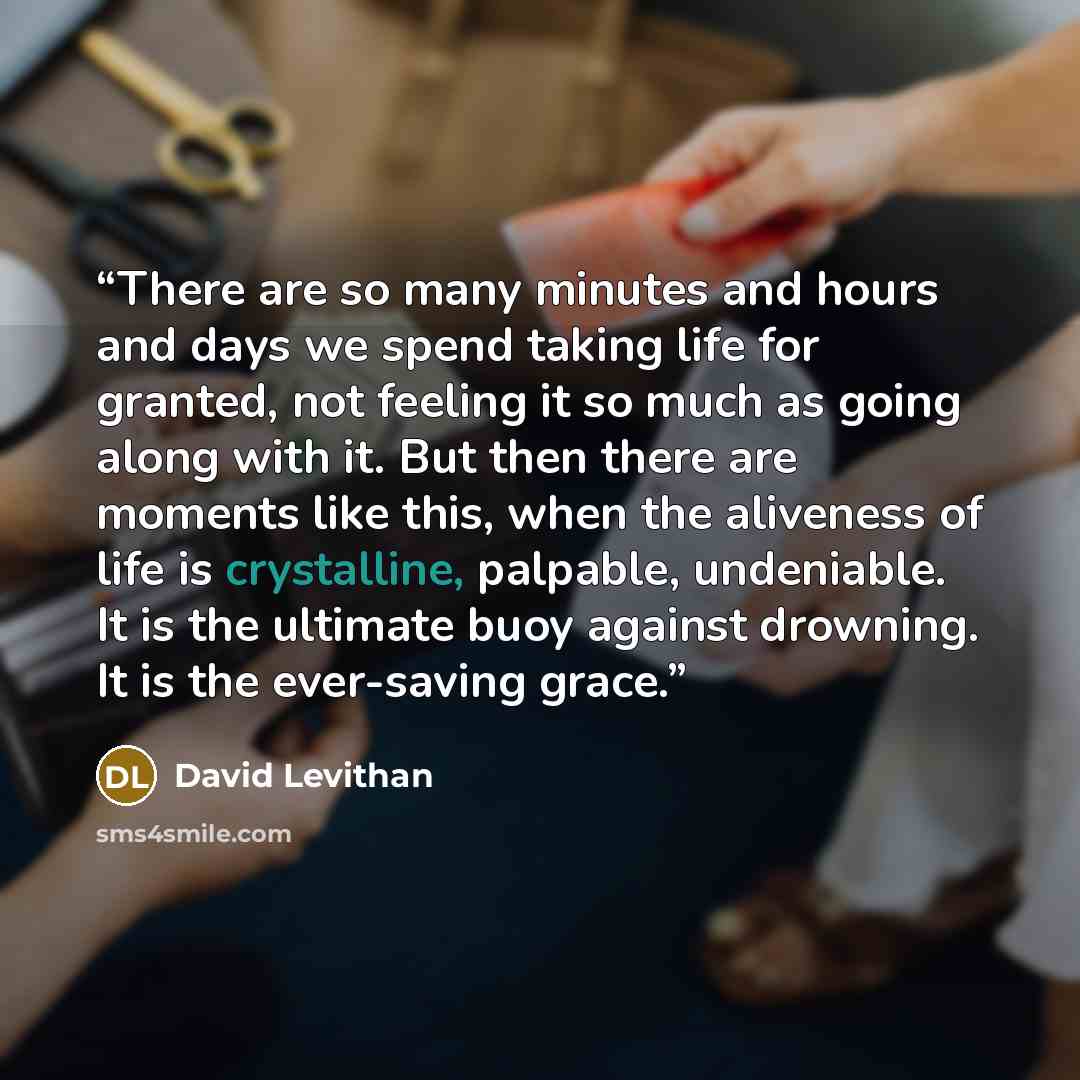 “There are so many minutes and hours and days we spend taking life for granted, not feeling it so much as going along with it. But then there are moments like this, when the aliveness of life is crystalline, palpable, undeniable. It is the ultimate buoy against drowning. It is the ever-saving grace.” quote by David Levithan