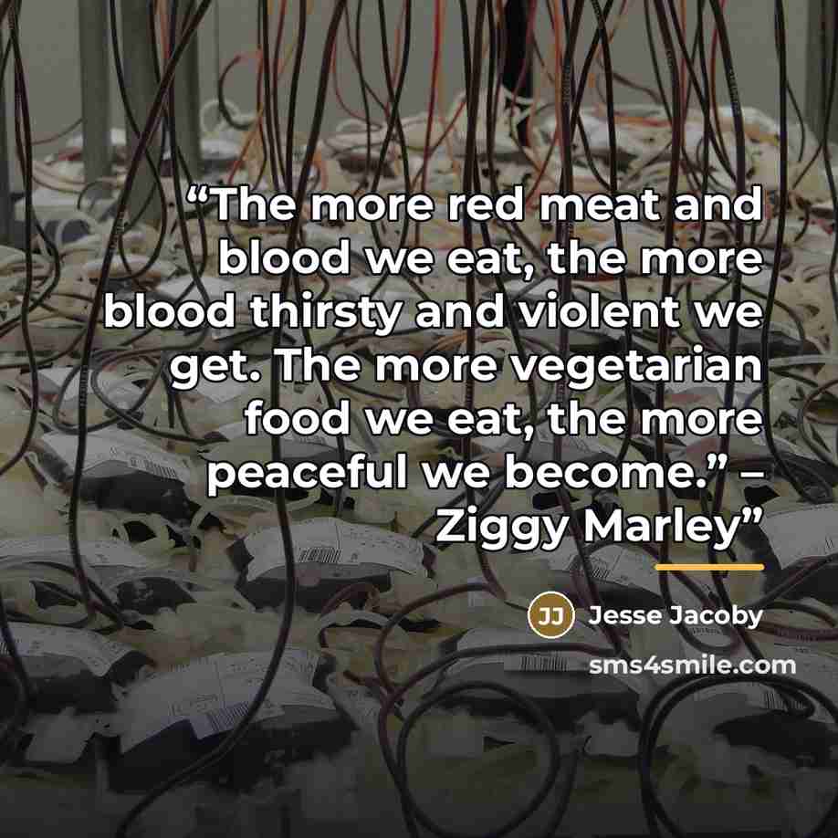 “The more red meat and blood we eat, the more blood thirsty and violent we get. The more vegetarian food we eat, the more peaceful we become.” – Ziggy Marley” quote by Jesse Jacoby