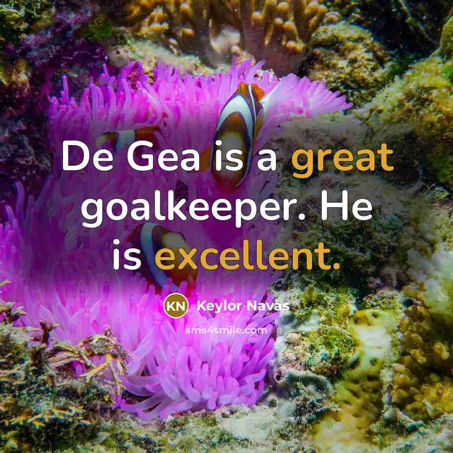 “De Gea is a great goalkeeper. He is excellent.” quote by Keylor Navas