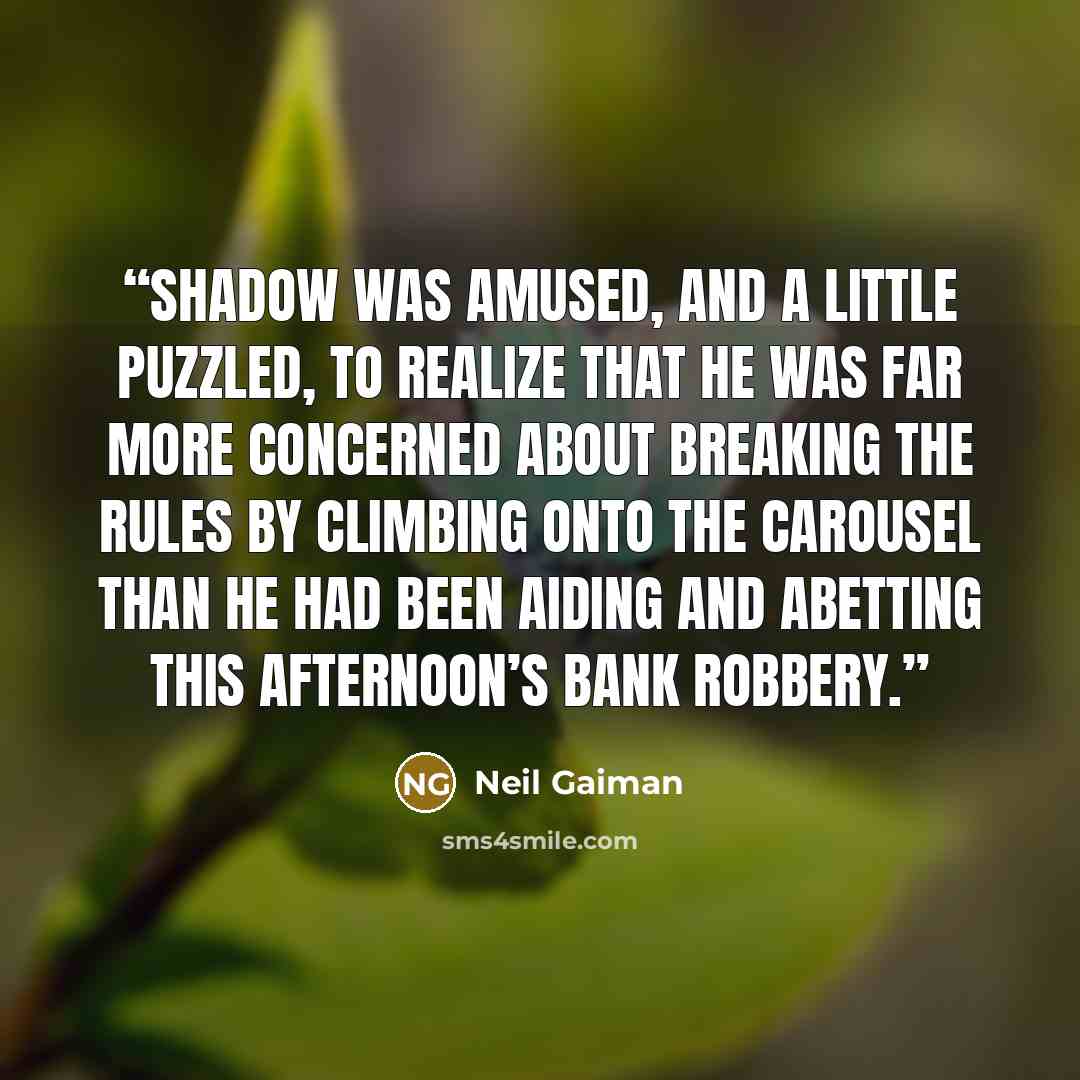 “Shadow was amused, and a little puzzled, to realize that he was far more concerned about breaking the rules by climbing onto the carousel than he had been aiding and abetting this afternoon’s bank robbery.” quote by Neil Gaiman