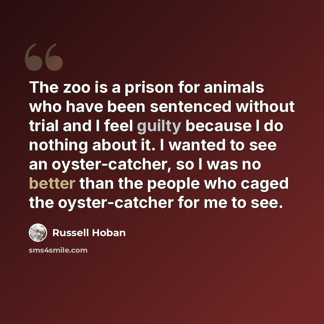 “The zoo is a prison for animals who have been sentenced without trial and I feel guilty because I do nothing about it. I wanted to see an oyster-catcher, so I was no better than the people who caged the oyster-catcher for me to see.” quote by Russell Hoban