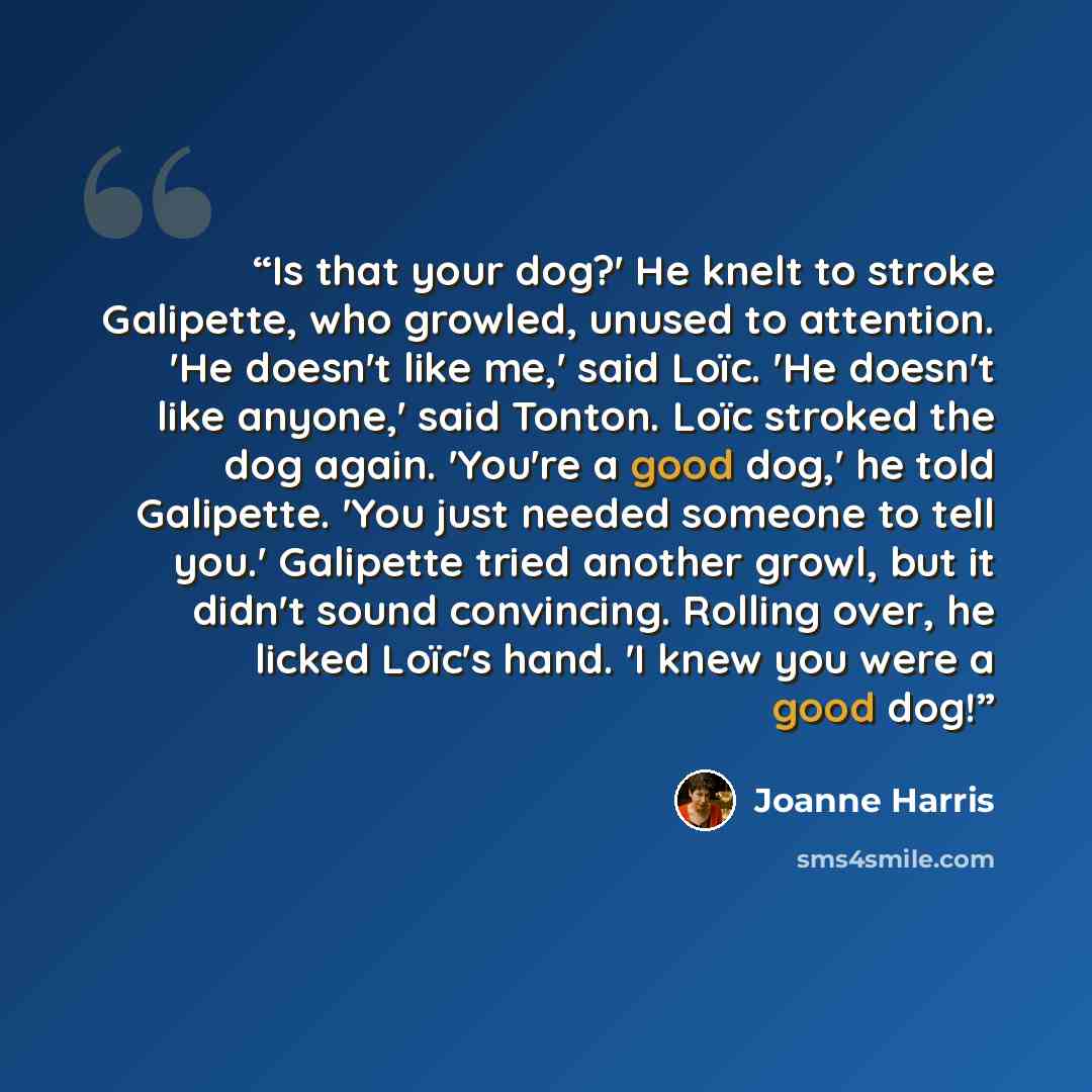“Is that your dog?' He knelt to stroke Galipette, who growled, unused to attention. 'He doesn't like me,' said Loïc. 'He doesn't like anyone,' said Tonton. Loïc stroked the dog again. 'You're a good dog,' he told Galipette. 'You just needed someone to tell you.' Galipette tried another growl, but…” quote by Joanne Harris