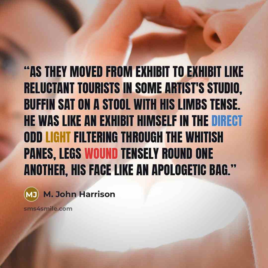 “As they moved from exhibit to exhibit like reluctant tourists in some artist's studio, Buffin sat on a stool with his limbs tense. He was like an exhibit himself in the direct odd light filtering through the whitish panes, legs wound tensely round one another, his face like an apologetic bag.” quote by M. John Harrison