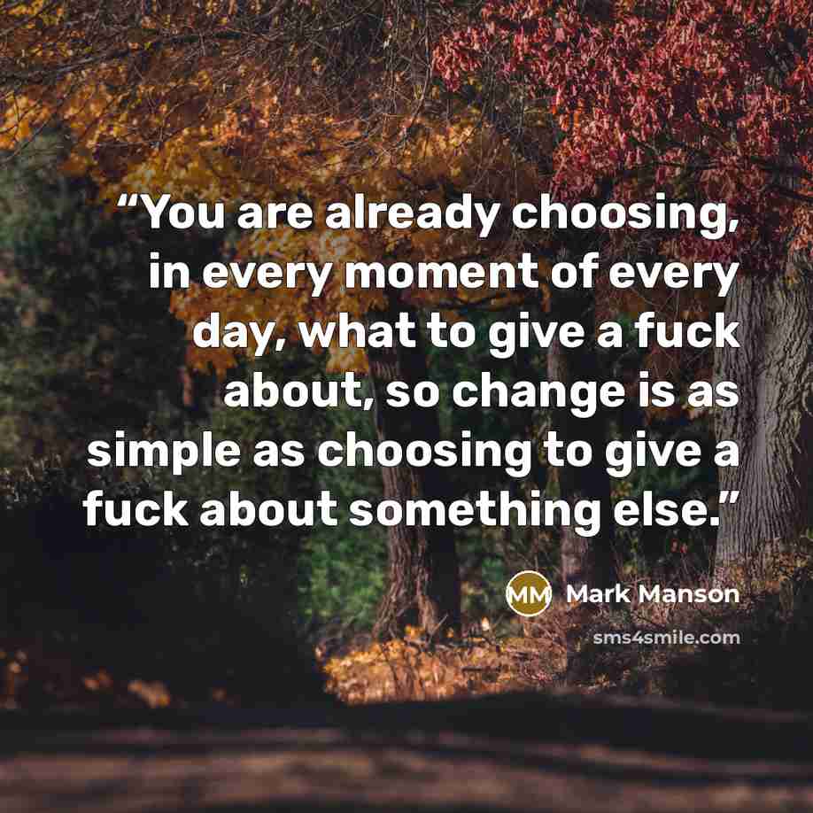 “You are already choosing, in every moment of every day, what to give a fuck about, so change is as simple as choosing to give a fuck about something else.” quote by Mark Manson