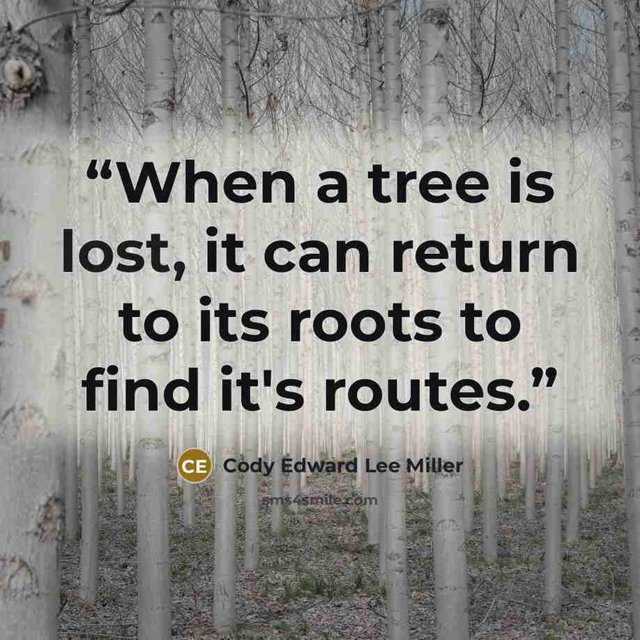 “When a tree is lost, it can return to its roots to find it's routes.” quote by Cody Edward Lee Miller