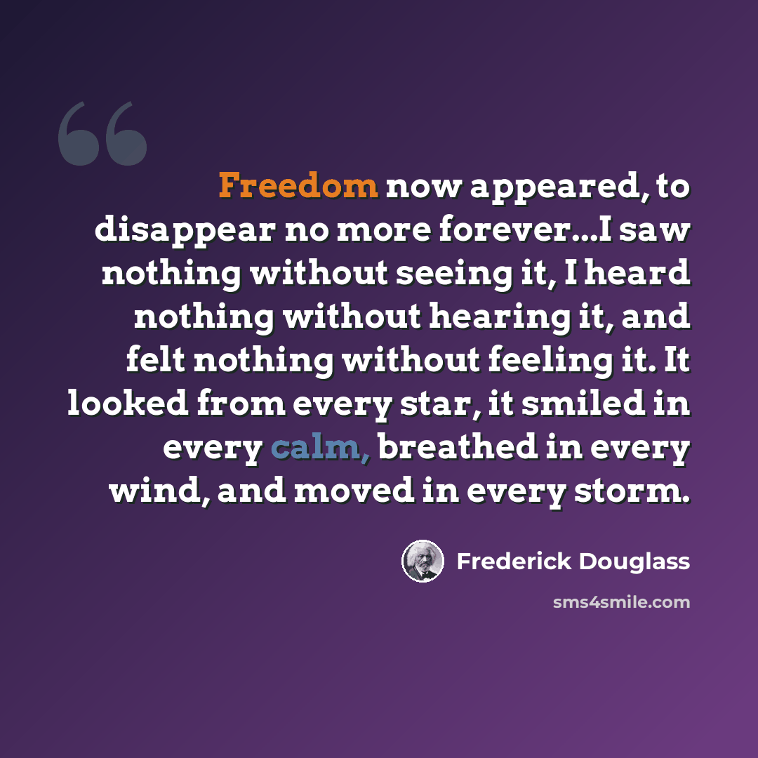 “Freedom now appeared, to disappear no more forever...I saw nothing without seeing it, I heard nothing without hearing it, and felt nothing without feeling it. It looked from every star, it smiled in every calm, breathed in every wind, and moved in every storm.” quote by Frederick Douglass