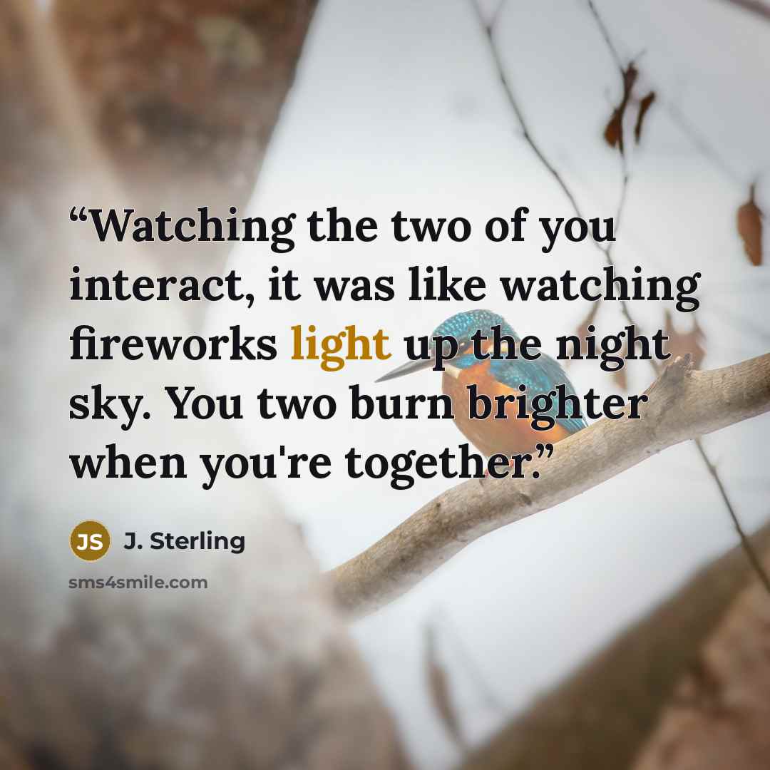 “Watching the two of you interact, it was like watching fireworks light up the night sky. You two burn brighter when you're together.” quote by J. Sterling