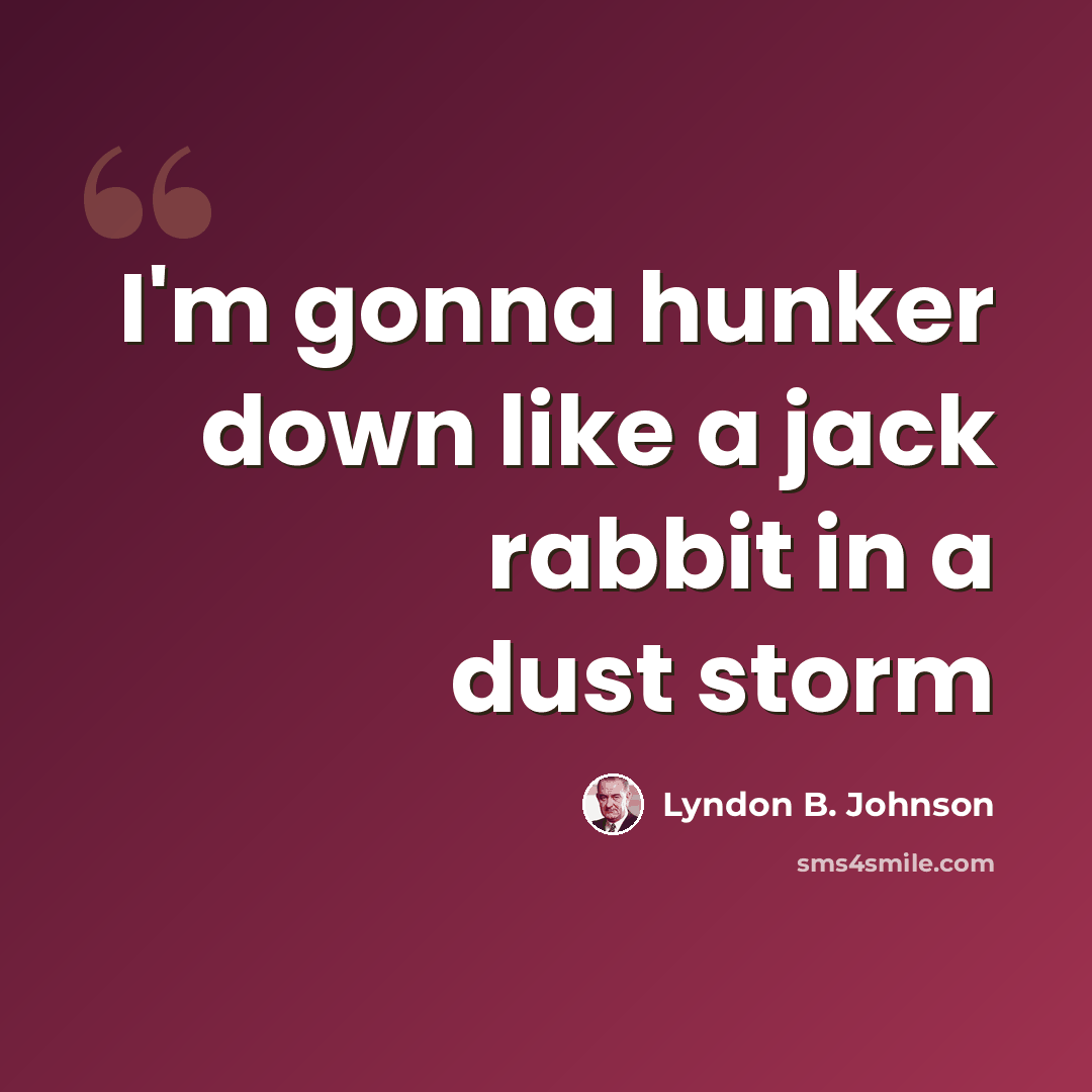 “I'm gonna hunker down like a jack rabbit in a dust storm” quote by Lyndon B. Johnson