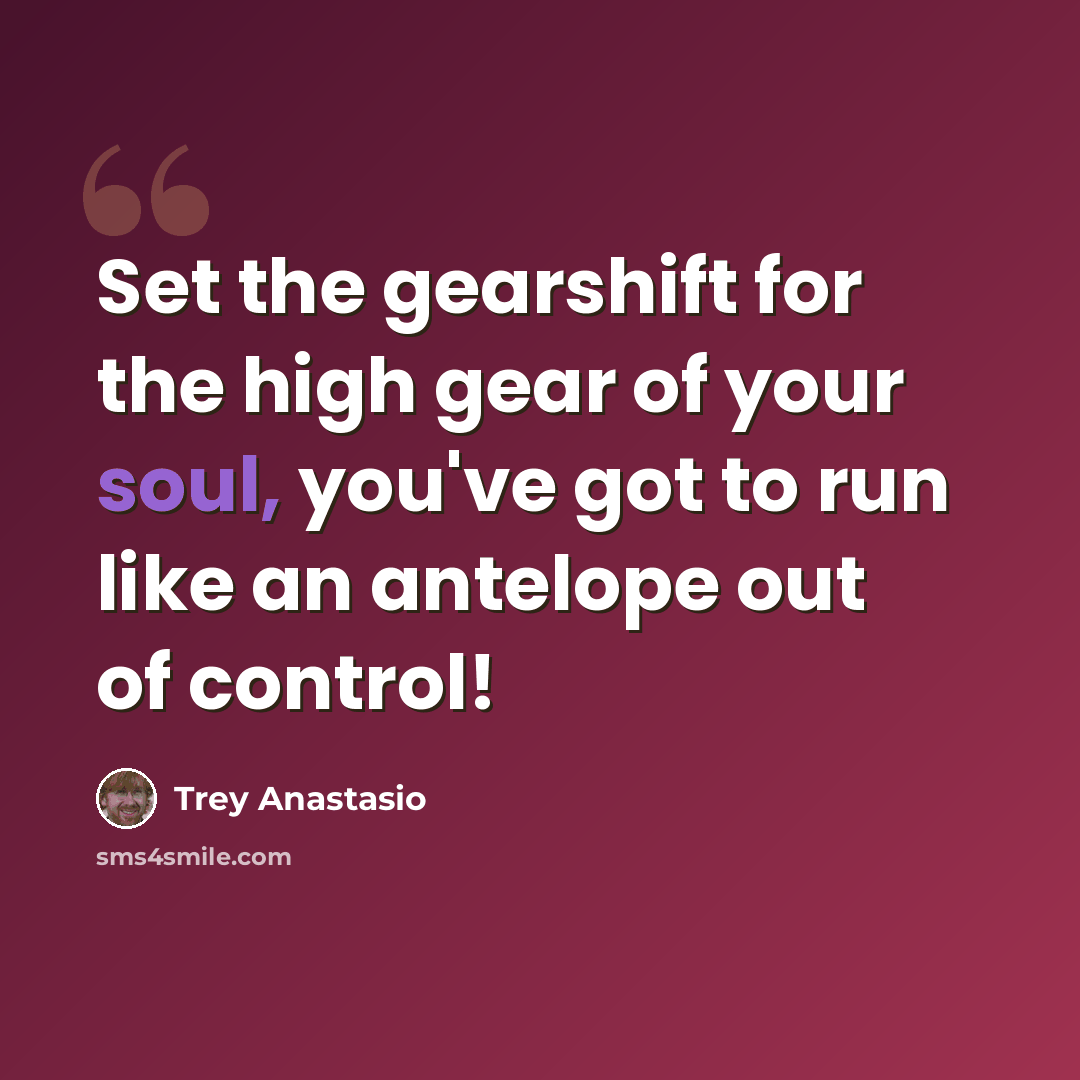 “Set the gearshift for the high gear of your soul, you've got to run like an antelope out of control!” quote by Trey Anastasio