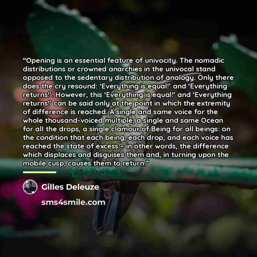 “Opening is an essential feature of univocity. The nomadic distributions or crowned anarchies in the univocal stand opposed to the sedentary distribution of analogy. Only there does the cry resound: ‘Everything is equal!’ and ‘Everything returns!’. However, this ‘Everything is equal!’ and…” quote by Gilles Deleuze