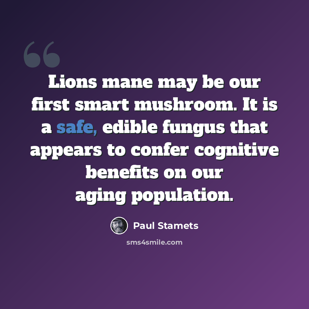 “Lions mane may be our first smart mushroom. It is a safe, edible fungus that appears to confer cognitive benefits on our aging population.” quote by Paul Stamets