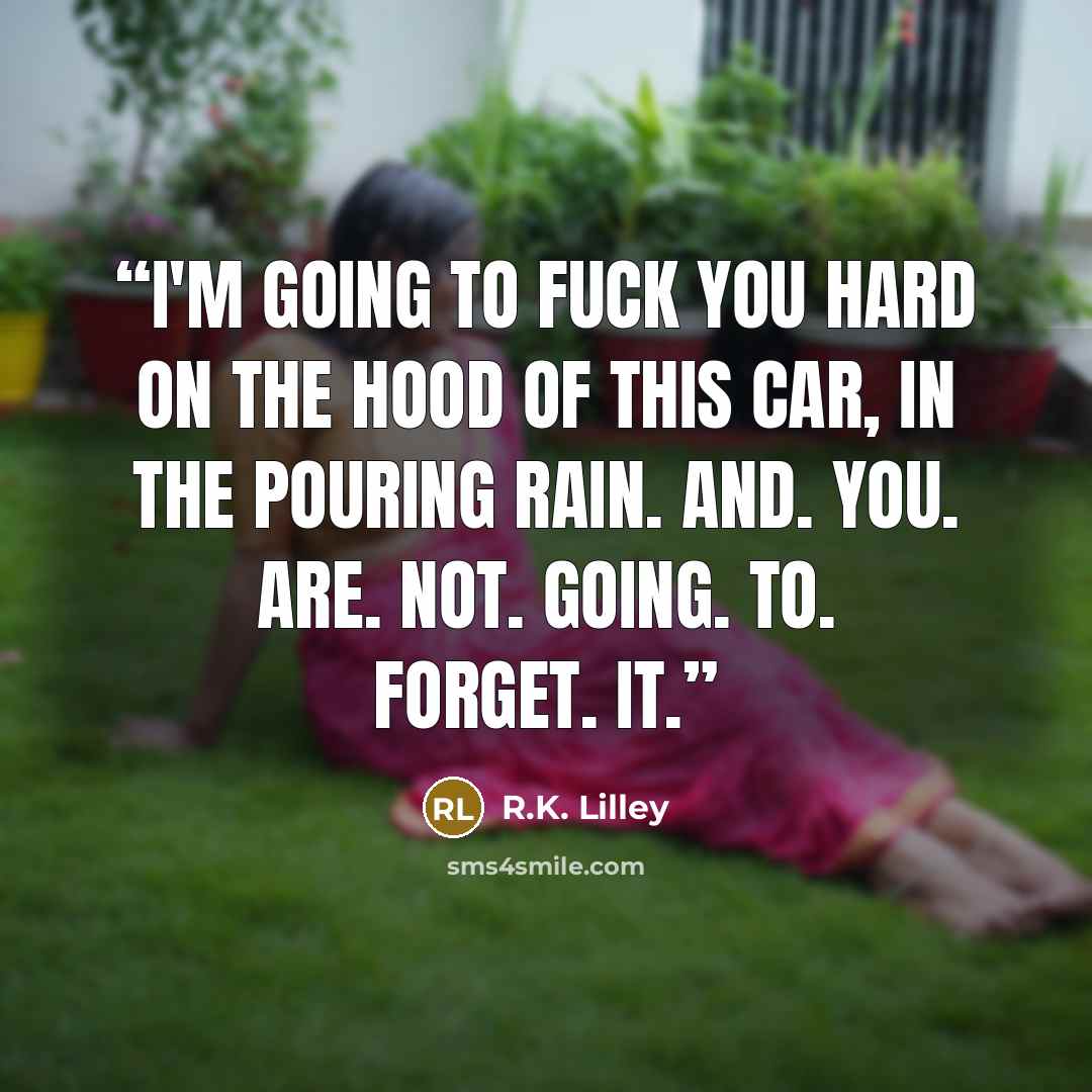 “I'm going to fuck you hard on the hood of this car, in the pouring rain. And. You. Are. Not. Going. To. Forget. It.” quote by R.K. Lilley
