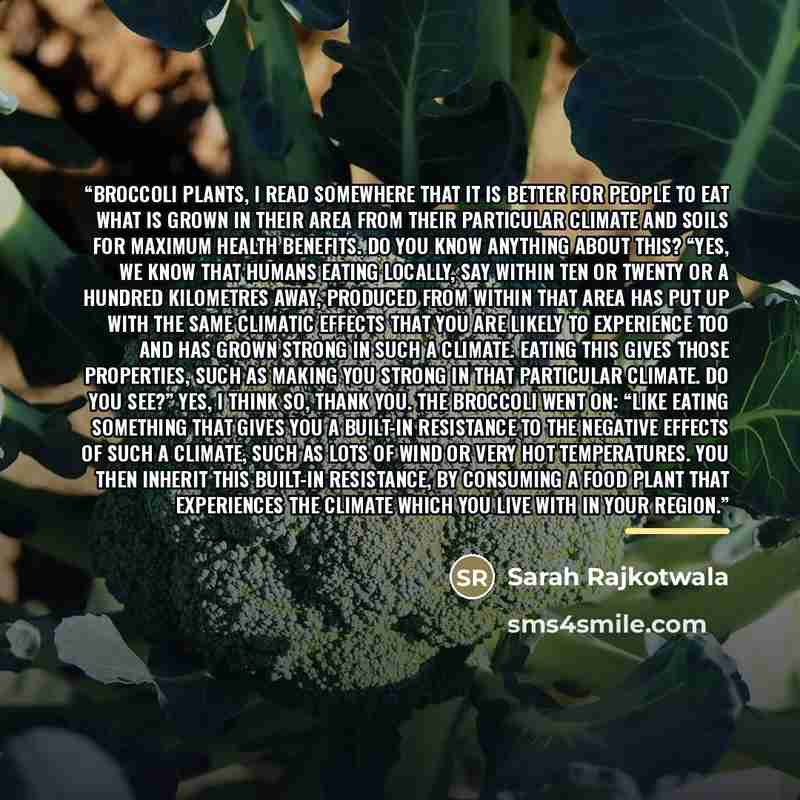 “Broccoli plants, I read somewhere that it is better for people to eat what is grown in their area from their particular climate and soils for maximum health benefits. Do you know anything about this? “Yes, we know that humans eating locally, say within ten or twenty or a hundred kilometres away…” quote by Sarah Rajkotwala