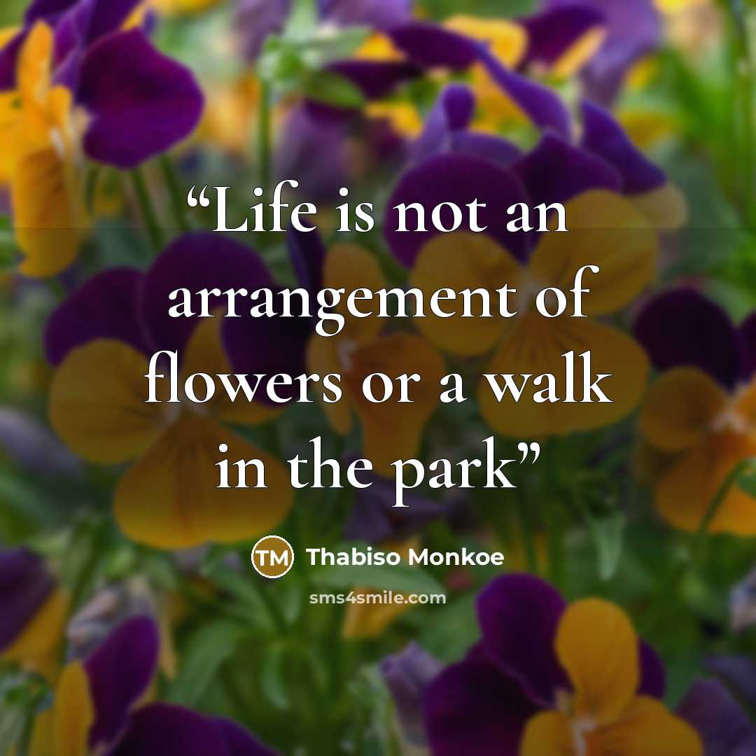 “Life is not an arrangement of flowers or a walk in the park” quote by Thabiso Monkoe