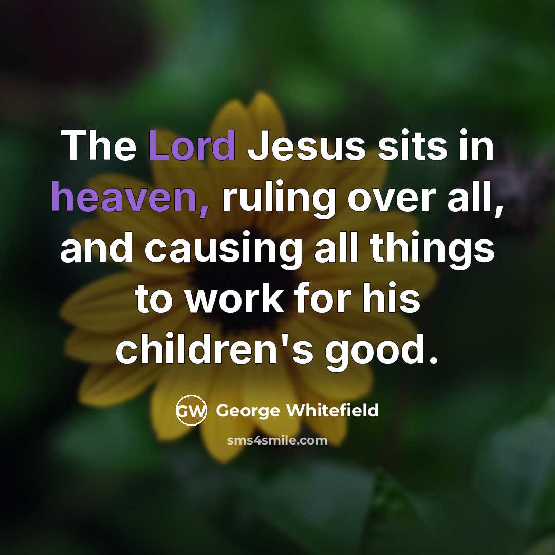 “The Lord Jesus sits in heaven, ruling over all, and causing all things to work for his children's good.” quote by George Whitefield