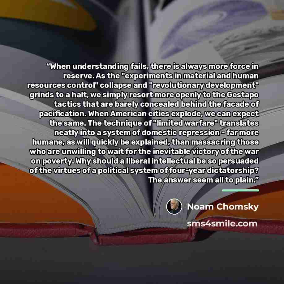 “When understanding fails, there is always more force in reserve. As the "experiments in material and human resources control" collapse and "revolutionary development" grinds to a halt, we simply resort more openly to the Gestapo tactics that are barely concealed behind the facade of pacification…” quote by Noam Chomsky