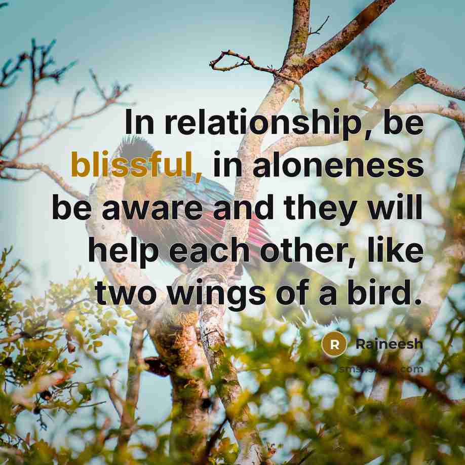 “In relationship, be blissful, in aloneness be aware and they will help each other, like two wings of a bird.” quote by Rajneesh