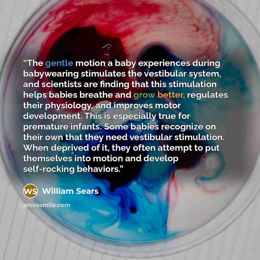 “The gentle motion a baby experiences during babywearing stimulates the vestibular system, and scientists are finding that this stimulation helps babies breathe and grow better, regulates their physiology, and improves motor development. This is especially true for premature infants. Some babies…” quote by William Sears