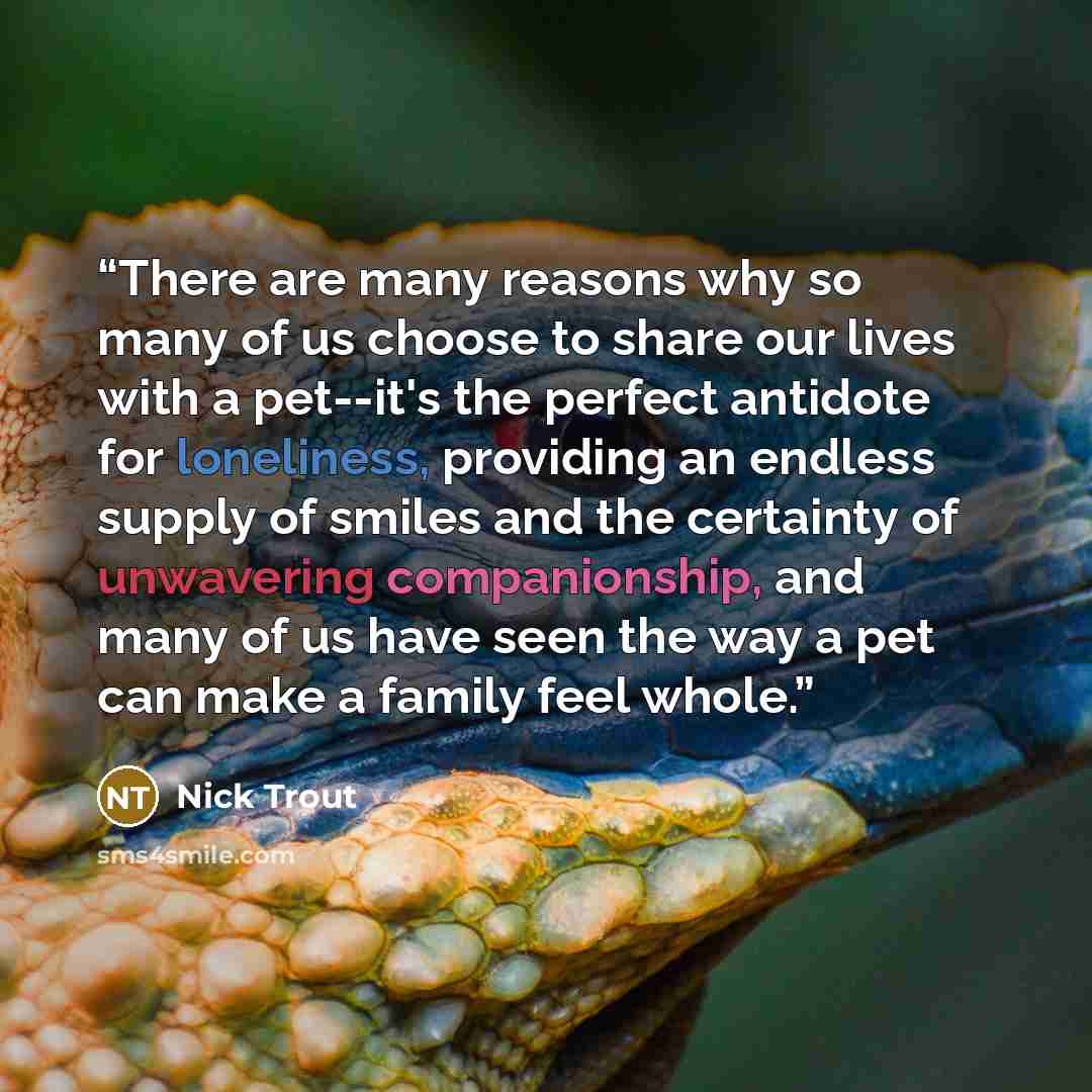 “There are many reasons why so many of us choose to share our lives with a pet--it's the perfect antidote for loneliness, providing an endless supply of smiles and the certainty of unwavering companionship, and many of us have seen the way a pet can make a family feel whole.” quote by Nick Trout