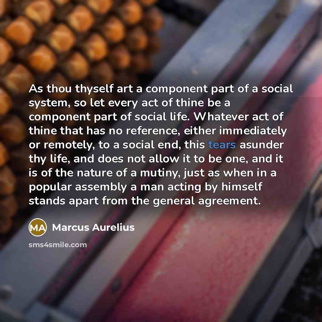 “As thou thyself art a component part of a social system, so let every act of thine be a component part of social life. Whatever act of thine that has no reference, either immediately or remotely, to a social end, this tears asunder thy life, and does not allow it to be one, and it is of the nature…” quote by Marcus Aurelius