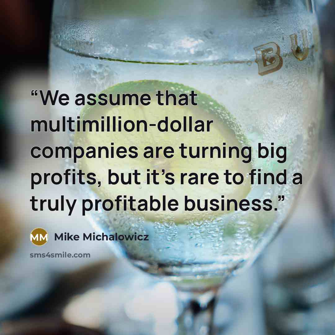 “We assume that multimillion-dollar companies are turning big profits, but it’s rare to find a truly profitable business.” quote by Mike Michalowicz