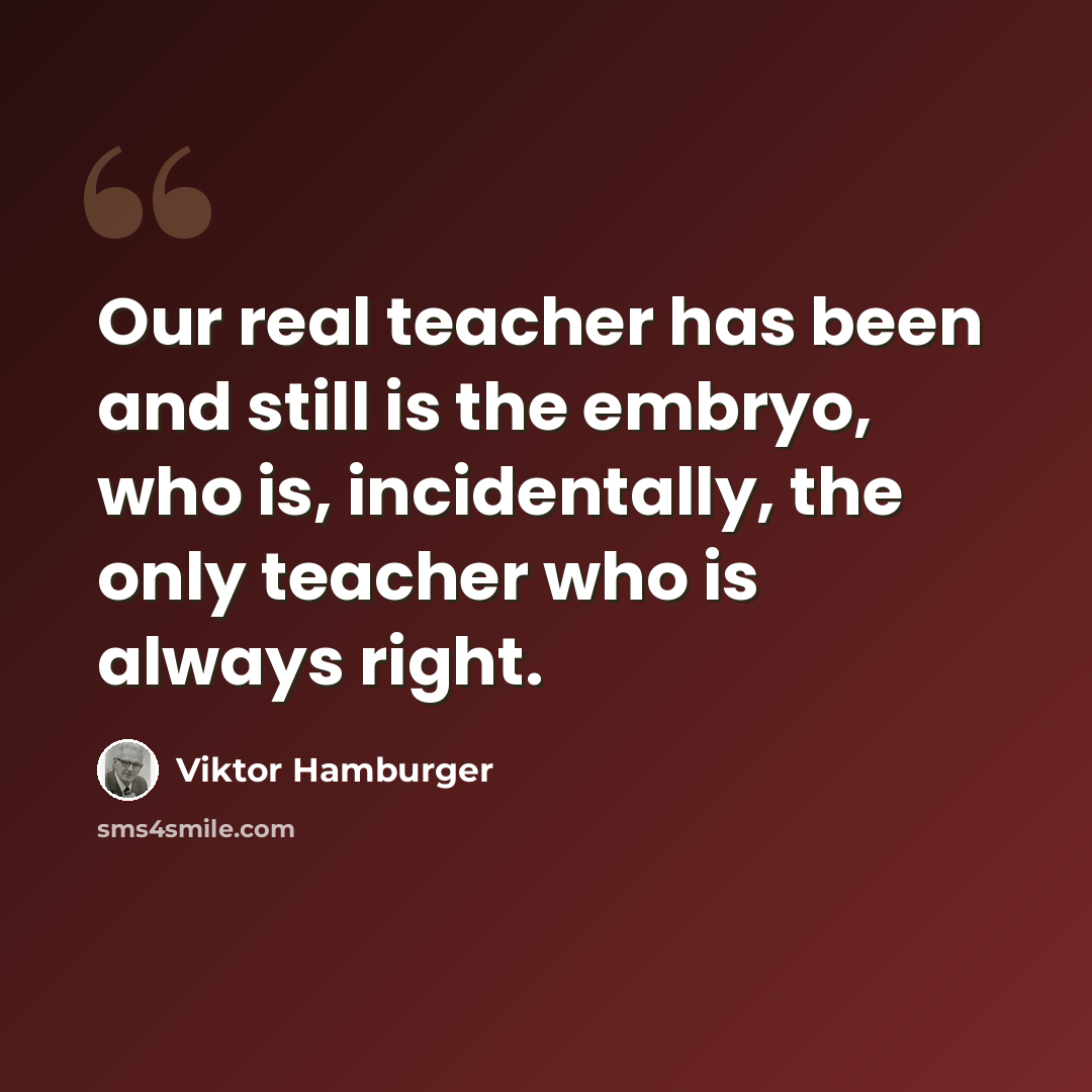 “Our real teacher has been and still is the embryo, who is, incidentally, the only teacher who is always right.” quote by Viktor Hamburger