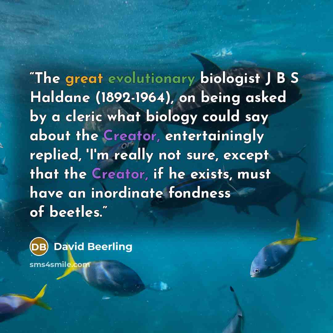 “The great evolutionary biologist J B S Haldane (1892-1964), on being asked by a cleric what biology could say about the Creator, entertainingly replied, 'I'm really not sure, except that the Creator, if he exists, must have an inordinate fondness of beetles.” quote by David Beerling