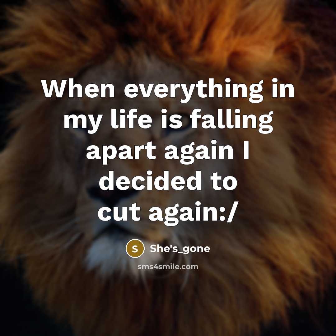 “When everything in my life is falling apart again I decided to cut again:/” quote by She's_gone