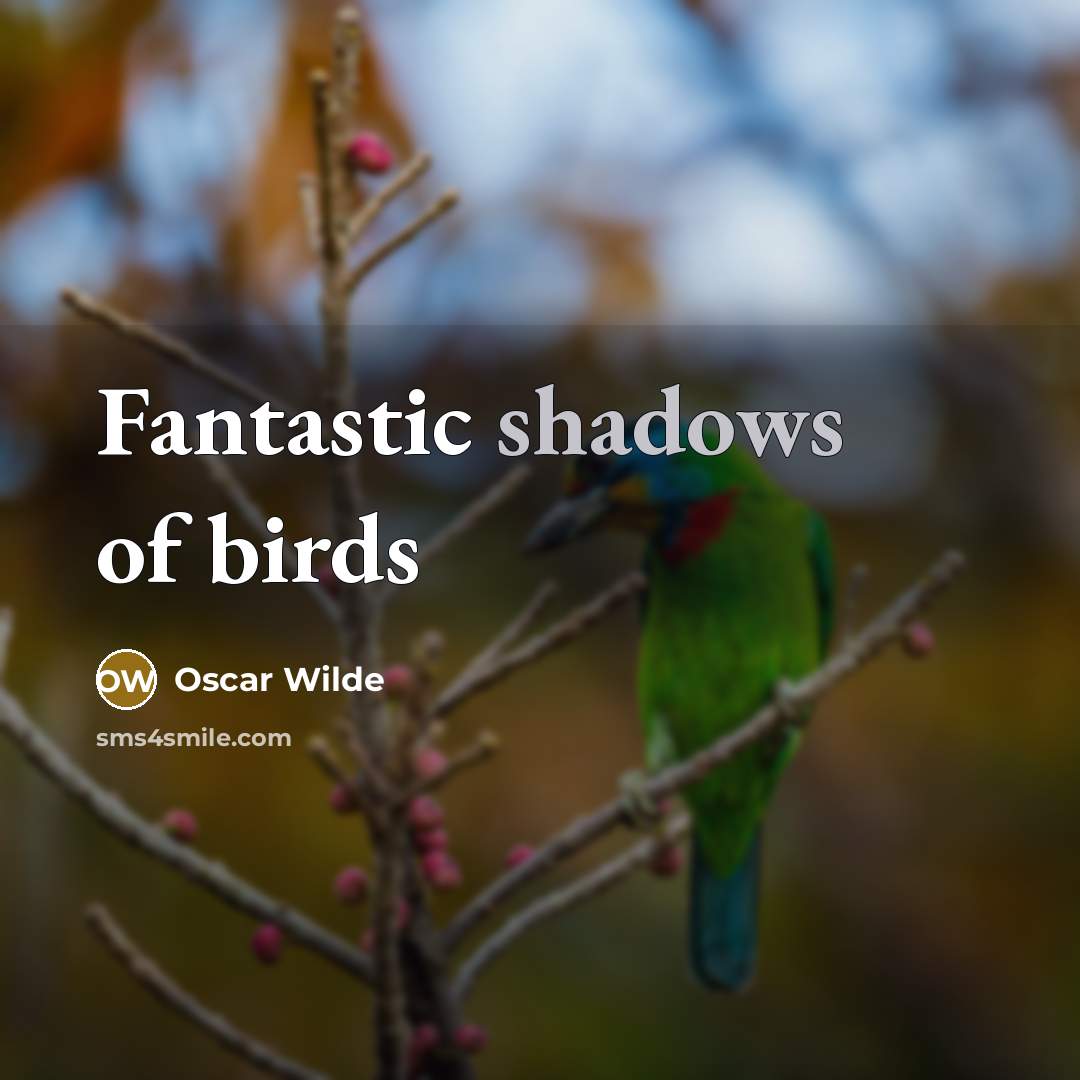 “Fantastic shadows of birds” quote by Oscar Wilde