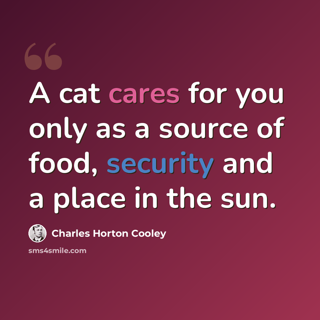 “A cat cares for you only as a source of food, security and a place in the sun.” quote by Charles Horton Cooley