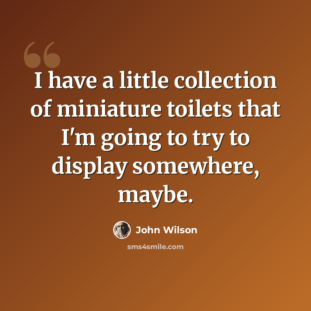 “I have a little collection of miniature toilets that I'm going to try to display somewhere, maybe.” quote by John Wilson