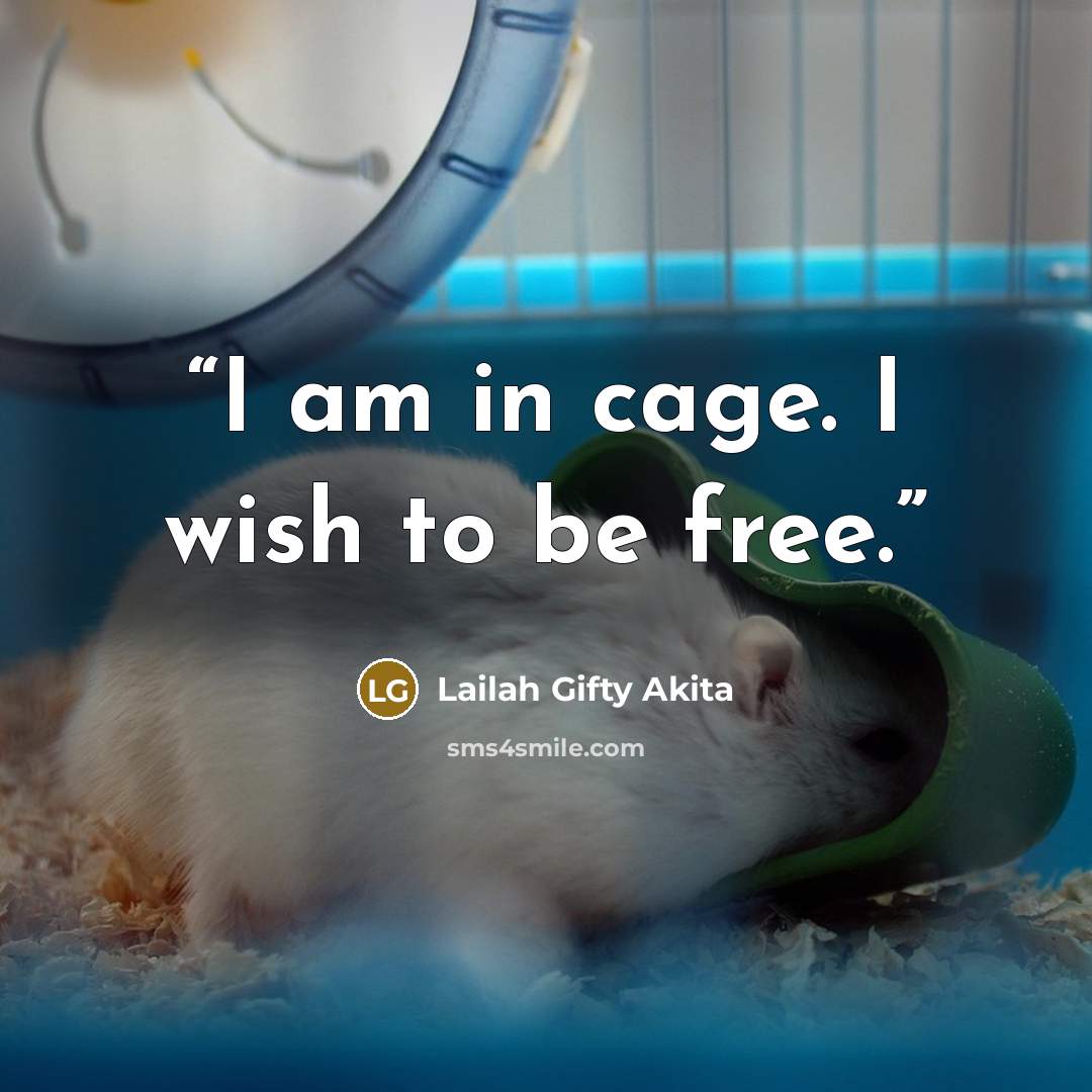 “I am in cage. I wish to be free.” quote by Lailah Gifty Akita