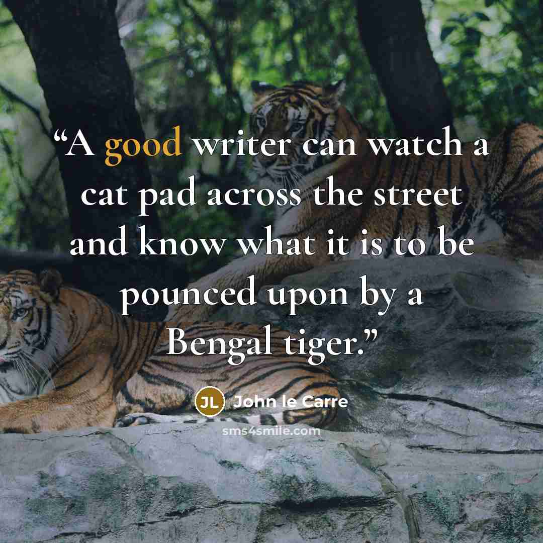 “A good writer can watch a cat pad across the street and know what it is to be pounced upon by a Bengal tiger.” quote by John le Carré