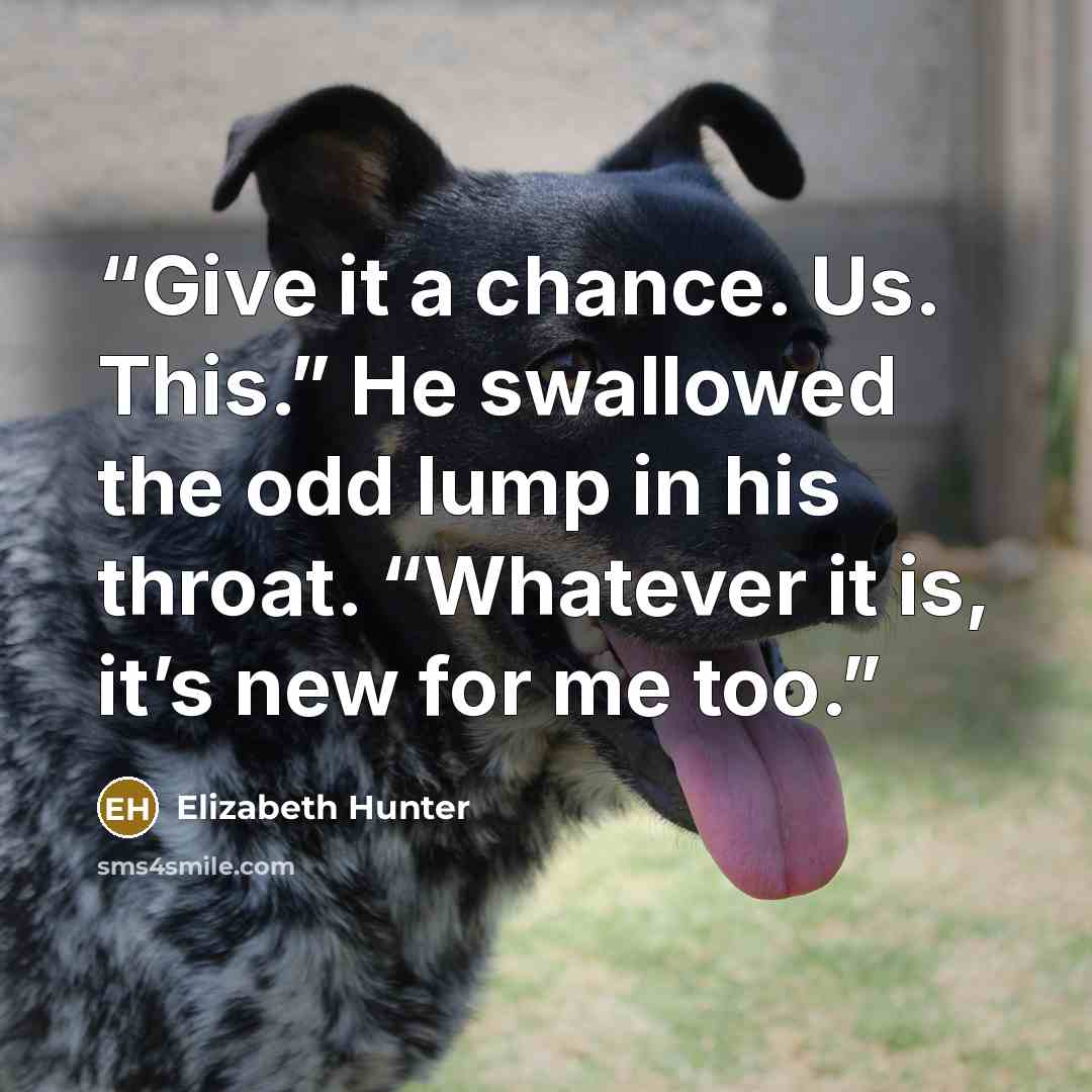 “Give it a chance. Us. This.” He swallowed the odd lump in his throat. “Whatever it is, it’s new for me too.” quote by Elizabeth Hunter