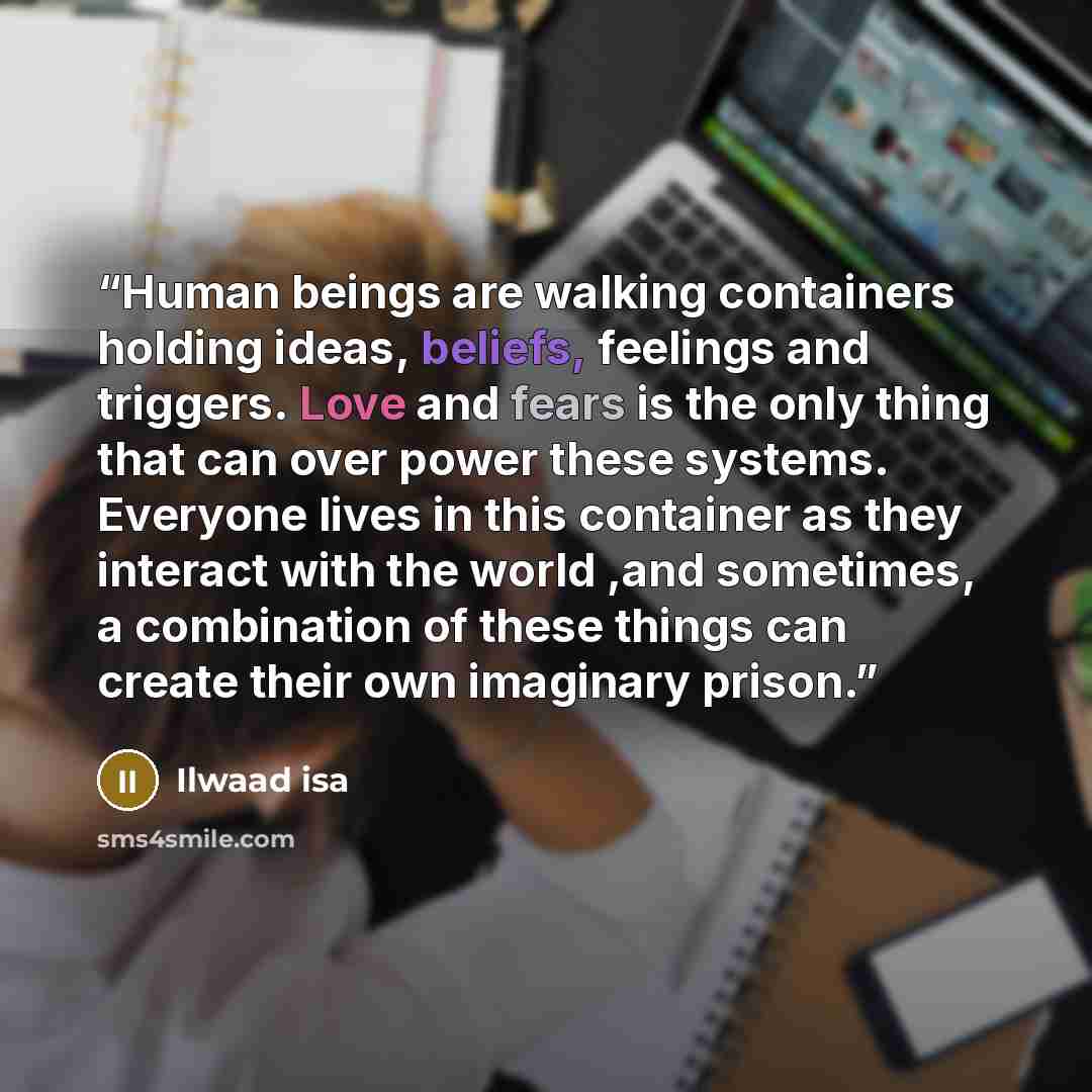 “Human beings are walking containers holding ideas, beliefs, feelings and triggers. Love and fears is the only thing that can over power these systems. Everyone lives in this container as they interact with the world ,and sometimes, a combination of these things can create their own imaginary prison.” quote by Ilwaad Isa