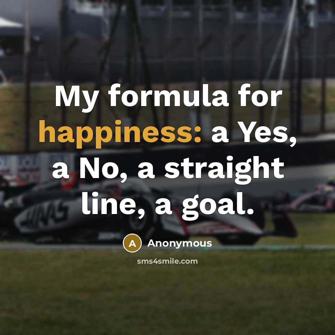 “My formula for happiness: a Yes, a No, a straight line, a goal.” quote by Anonymous