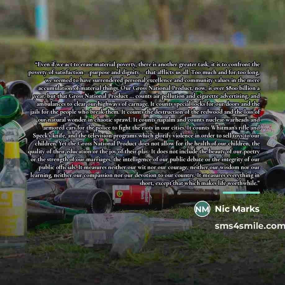 “Even if we act to erase material poverty, there is another greater task; it is to confront the poverty of satisfaction – purpose and dignity – that afflicts us all. Too much and for too long, we seemed to have surrendered personal excellence and community values in the mere accumulation of…” quote by Nic Marks