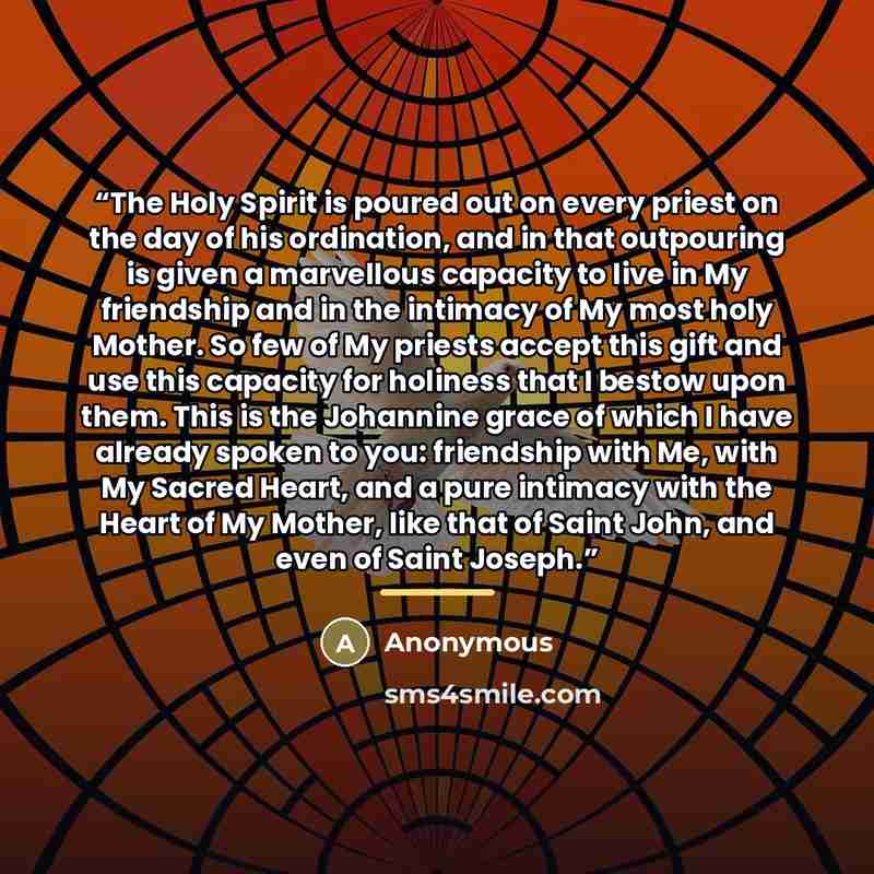 “The Holy Spirit is poured out on every priest on the day of his ordination, and in that outpouring is given a marvellous capacity to live in My friendship and in the intimacy of My most holy Mother. So few of My priests accept this gift and use this capacity for holiness that I bestow upon them…” quote by Anonymous