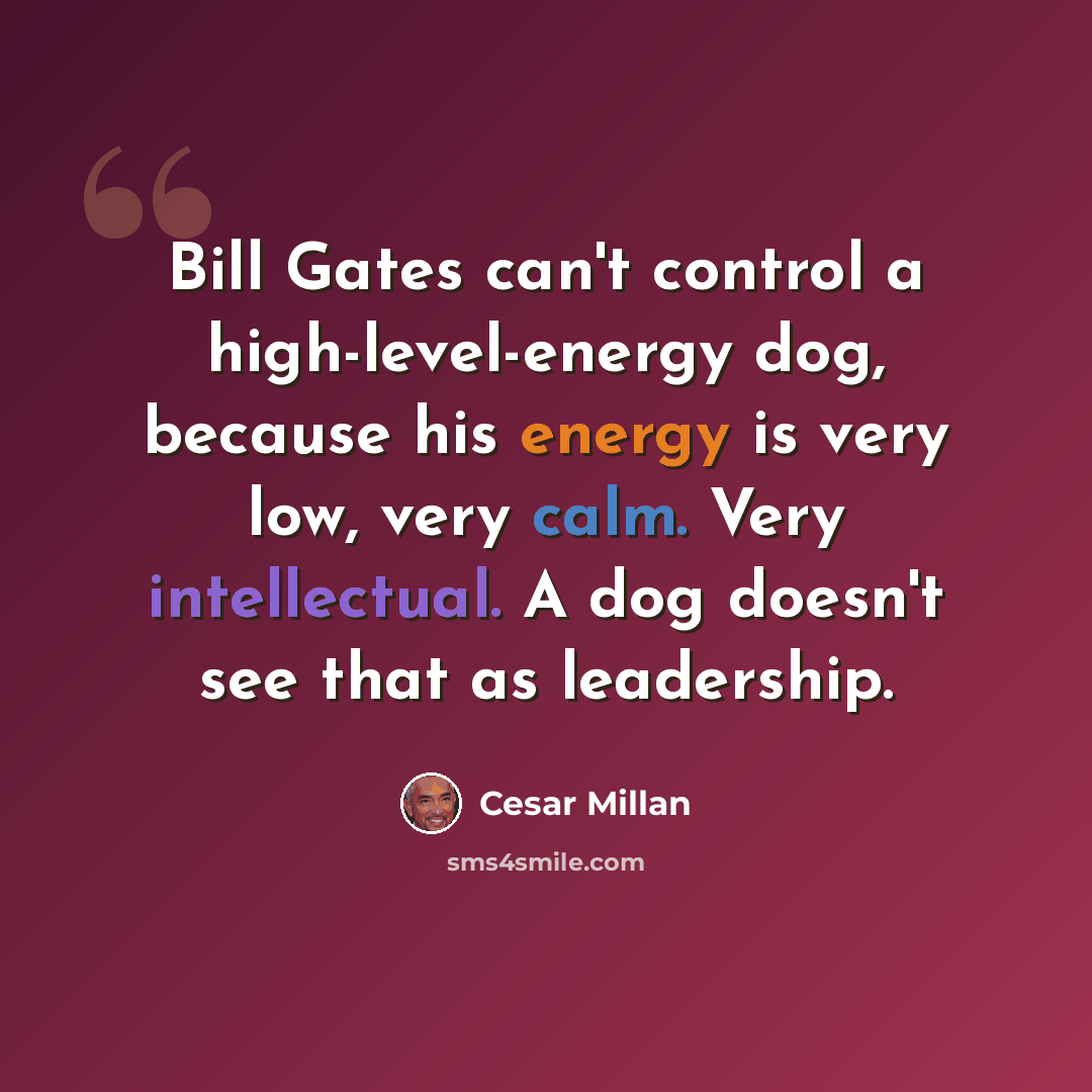 “Bill Gates can't control a high-level-energy dog, because his energy is very low, very calm. Very intellectual. A dog doesn't see that as leadership.” quote by Cesar Millan
