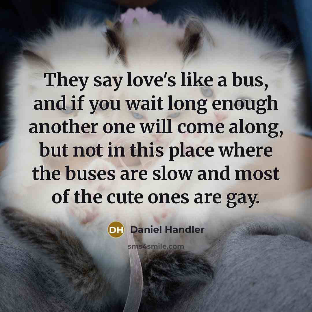 “They say love's like a bus, and if you wait long enough another one will come along, but not in this place where the buses are slow and most of the cute ones are gay.” quote by Daniel Handler