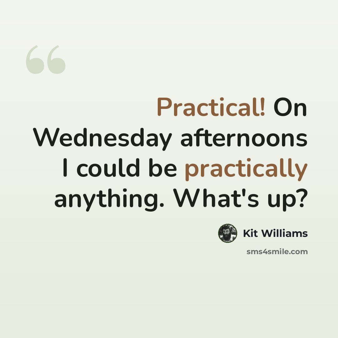 “Practical! On Wednesday afternoons I could be practically anything. What's up?” quote by Kit Williams